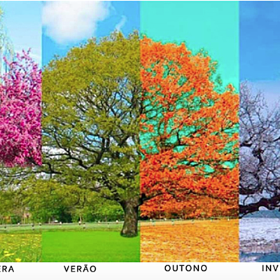 Timeline: Las estaciones del año - Brasil