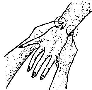 Masoterapia y la Kinesiterapia