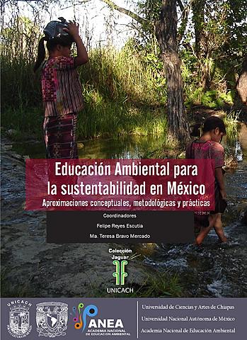 En Latinoamérica y especialmente en nuestro país se abren las posibilidades al desarrollo de una EA