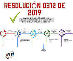 RESOLUCION 0312 DE 2019