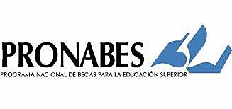 PRONAES) estableció un subprograma denominado Programa Nacional de Posgrado