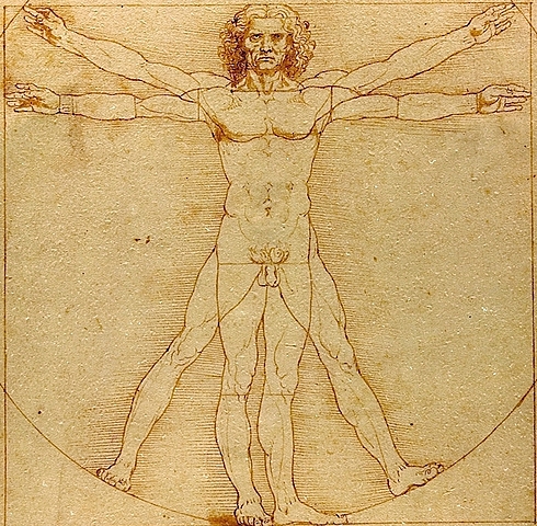 Drawing of the Vitruvian Man