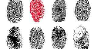 Fingerprinting System Discovered