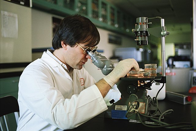 Современная наука