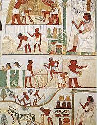 SATIRA DE LOS OFICIOS