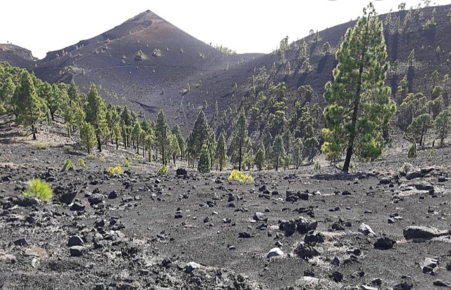 Erupción volcán de Tigalate o Martín