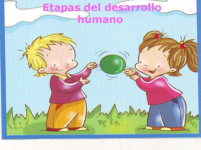 Etapas del desarrollo