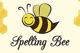Spelling Bee Championship- Knowledgeable