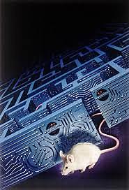 Watson: Sensaciones orgánicas