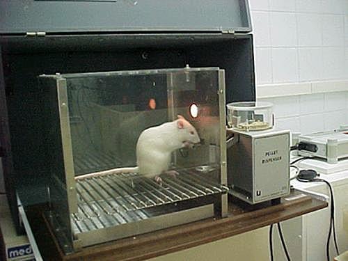 Skinner: Cámara de condicionamiento operante.