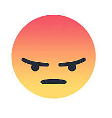 Sibling Fight- Anger