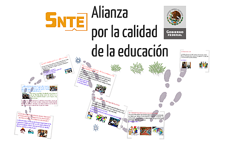 Alianza por la calidad