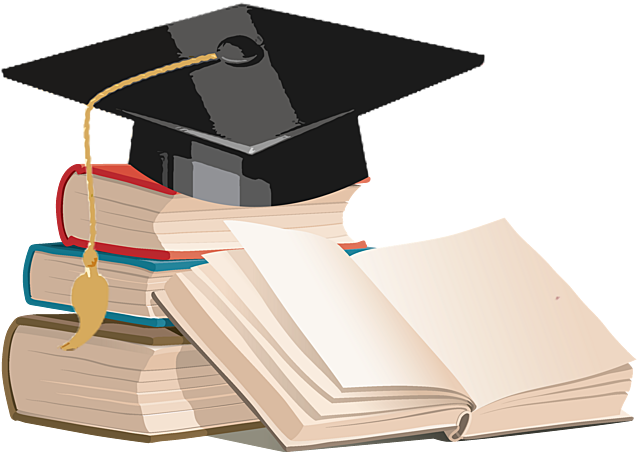 Finaliza sus estudios de primaria