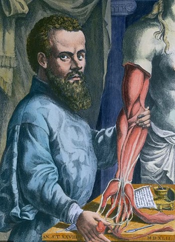 Andrés Vesalio
