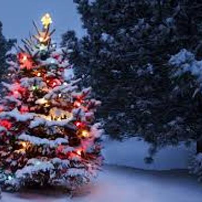 Timeline: History of Christmas tree