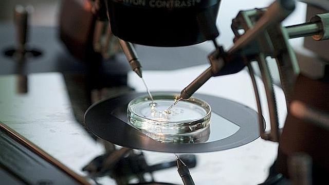 Terapia genetikoko lehen esperimentu ziurtatua