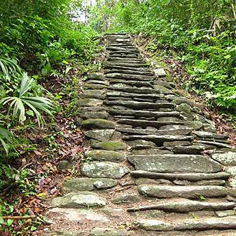 Comunicación dentro de la Cultura Tairona.