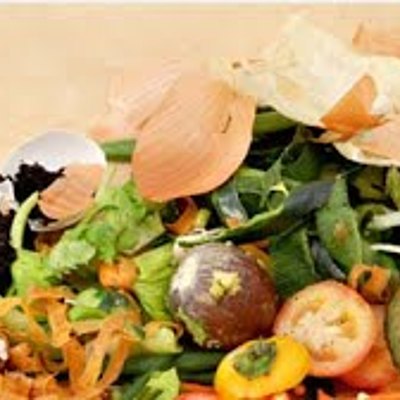 Timeline: Desechos Orgánicos E Inorgánicos