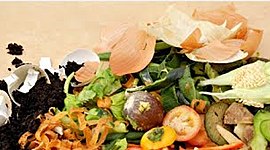 Timeline: Desechos Orgánicos E Inorgánicos