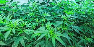 When I started with the drugs