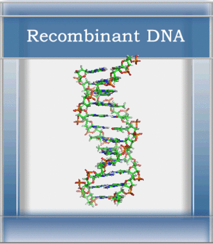 First Recombinant Organism