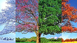 Timeline: Estaciones del año