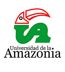 La Etnoeducación  en la Educación  Superior