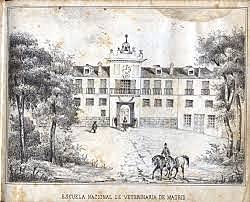 Primeras escuelas de enfermería en España