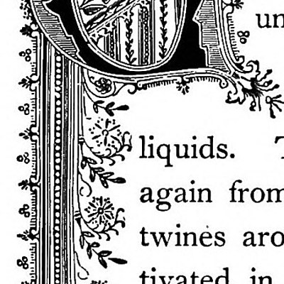 Timeline: proof in the poetry