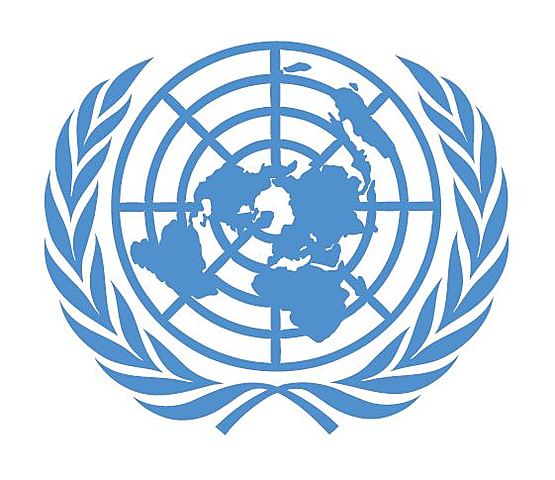 NACIONES UNIDAS: Denominación oficial de niños a los menores.