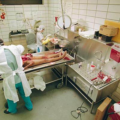 Timeline: Historia de la Medicina Legal o Forense