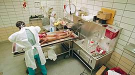 Timeline: Historia de la Medicina Legal o Forense