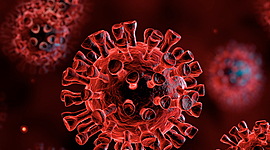 Timeline: How Covid-19 Affected Two Friends