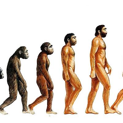 Timeline: Эволюция человека
