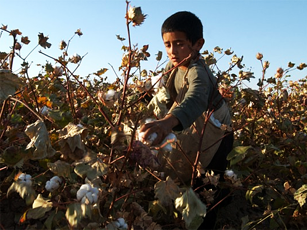 I brand al fianco dei bambini uzbeki schiavi del cotone
