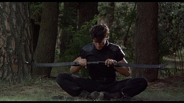 Karl's Catalyst to Ruin