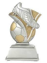 Interantional Infantile Maximium Scorer