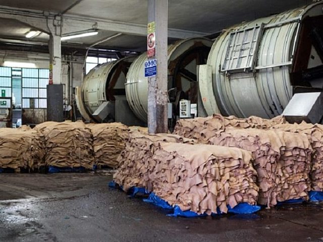 Chiusura del distretto di Hazaribagh (Bangladesh)