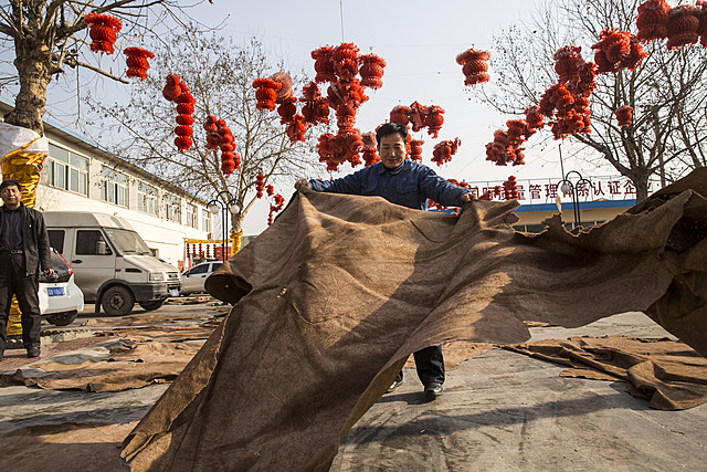 Nuovo piano della Cina per regolare le concerie