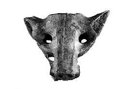 El hueso sacro de Tequixquiac