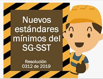 Resolución 0312 DE 2019