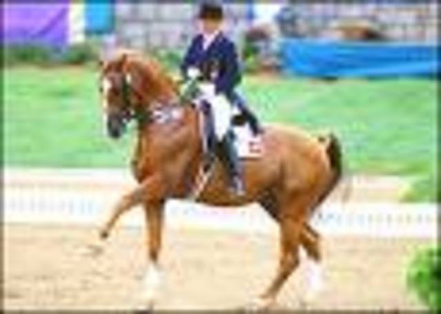 Equitación: Gané el primer lugar en pista de conducción