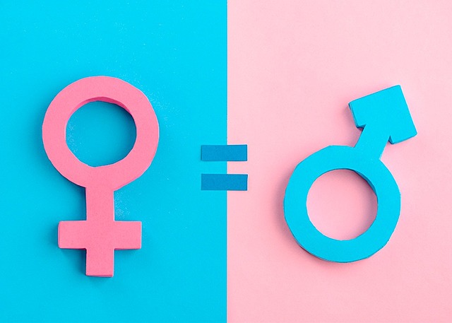 Coeducación en el Perú / Educación Básica regular