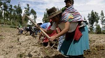 Convenio 169 de la Organización International del Trabajo (OIT