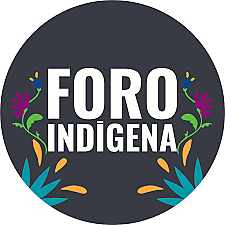 Foro permanente para las cuestiones indígenas