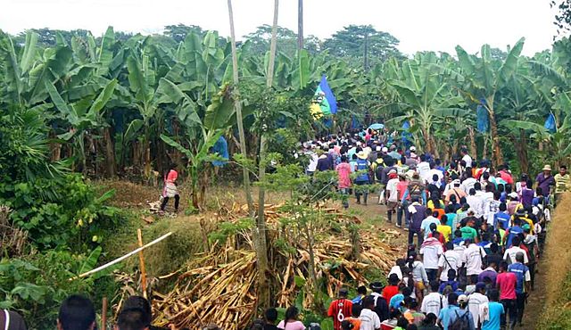 Informe Unidad Nacional de Víctimas (UARIV)