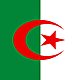 Algeria flag national flag of algeria