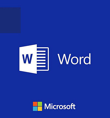 ●MICROSOFT WORD●