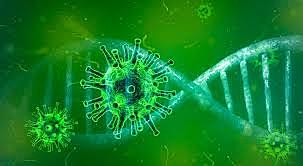 SE CONFIRMA OFICIALMENTE EL COVID 19