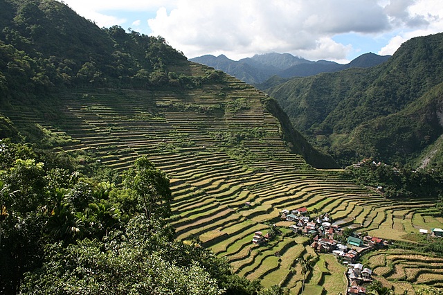 Landscape(before and after colonization)